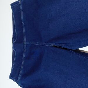 DANA BUCHMAN  Women's Comfort Waist Pull On  Blue Skinny Jeans - L